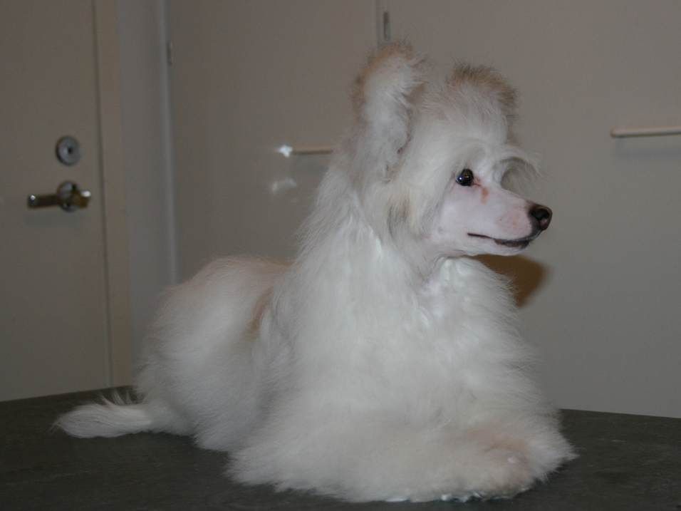 Alfa Romeo Imperial Dream