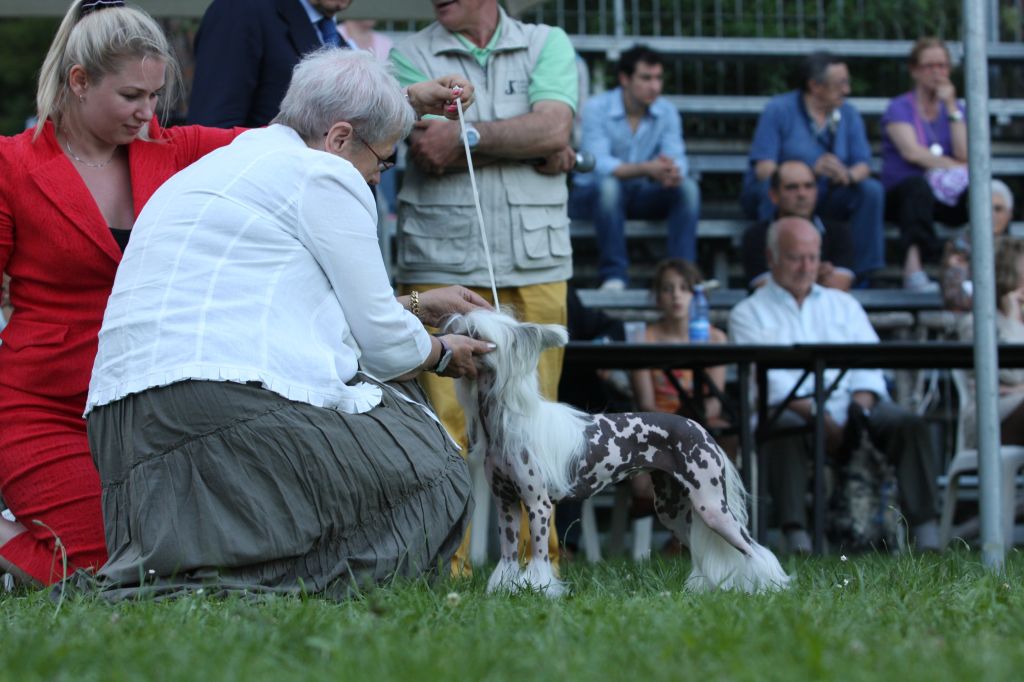 Olegro katrin Infinity On A High