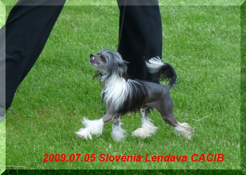 Fundoklia-Völgyi Kaszanics Amarilla