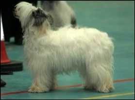 Casa Del Caboom's Summer Rain