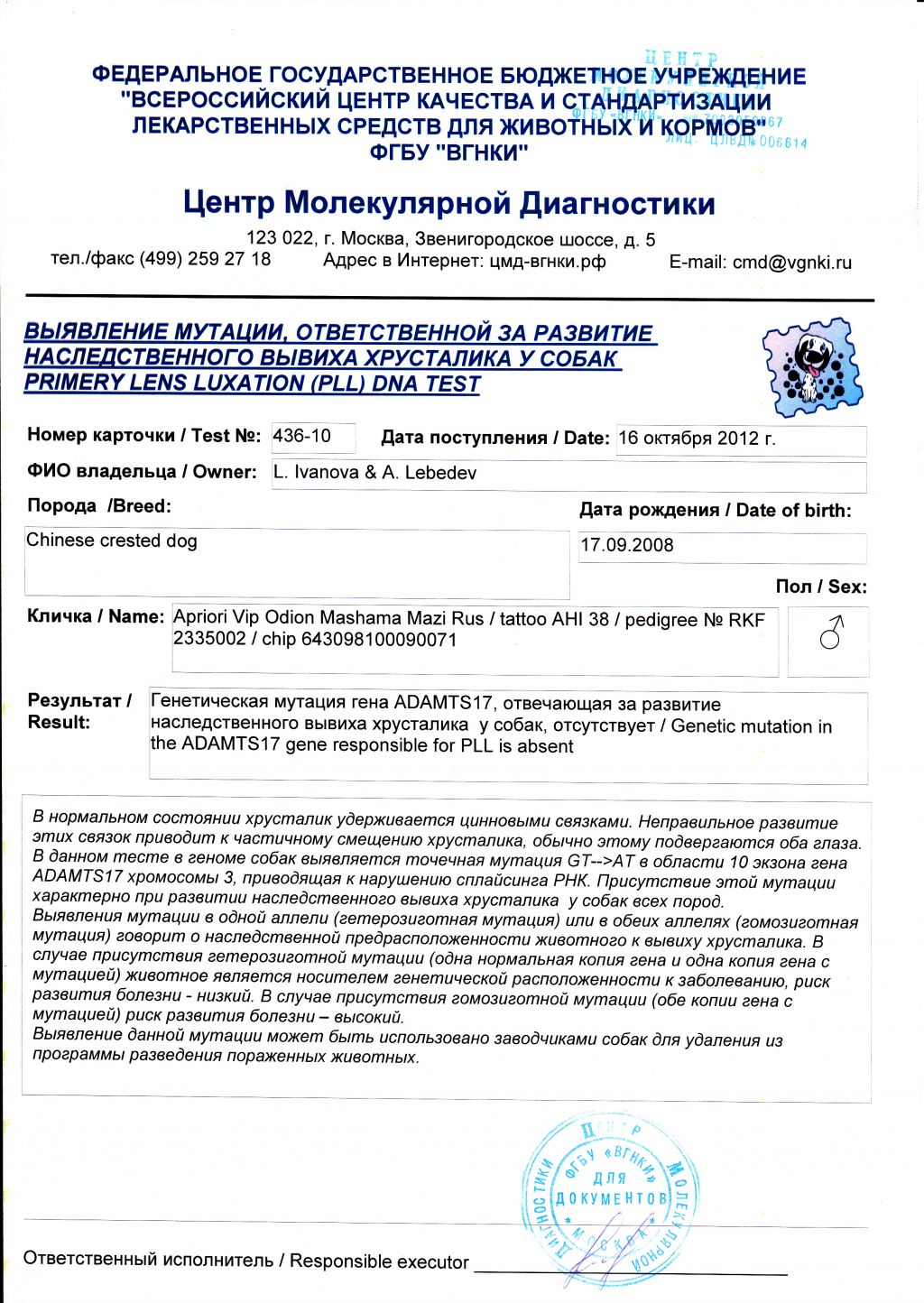 Apriori Vip Odion Mashama Mazi Rus