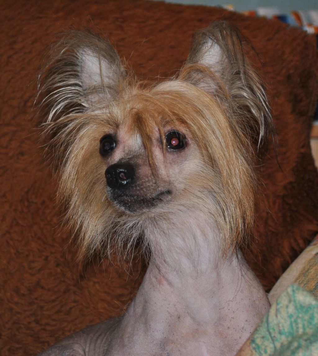 Gabrielle Dwie Tecze