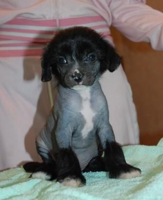 My Lucky Love Ardent Lover