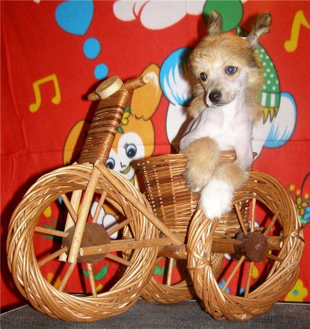 Salve Bambola Minodora