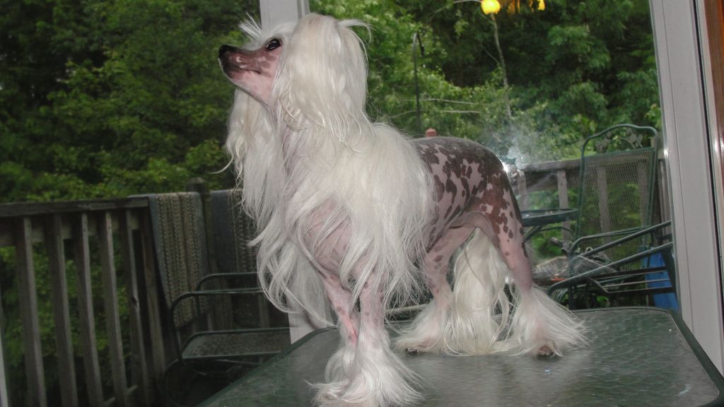 Jewels Girl Next Door