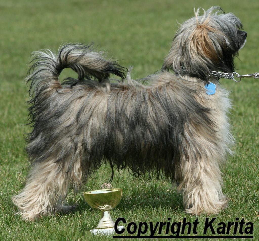 Lady's Trick Designer