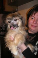 Opus Palmare Nicoletta