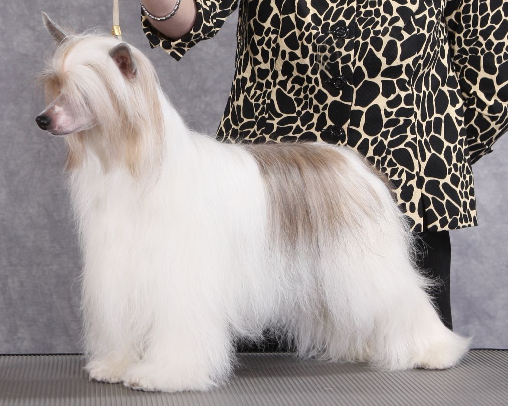 Dokkum Reach Past The Clouds