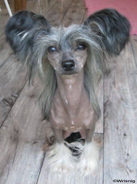 Twice as Nice Out of Sight