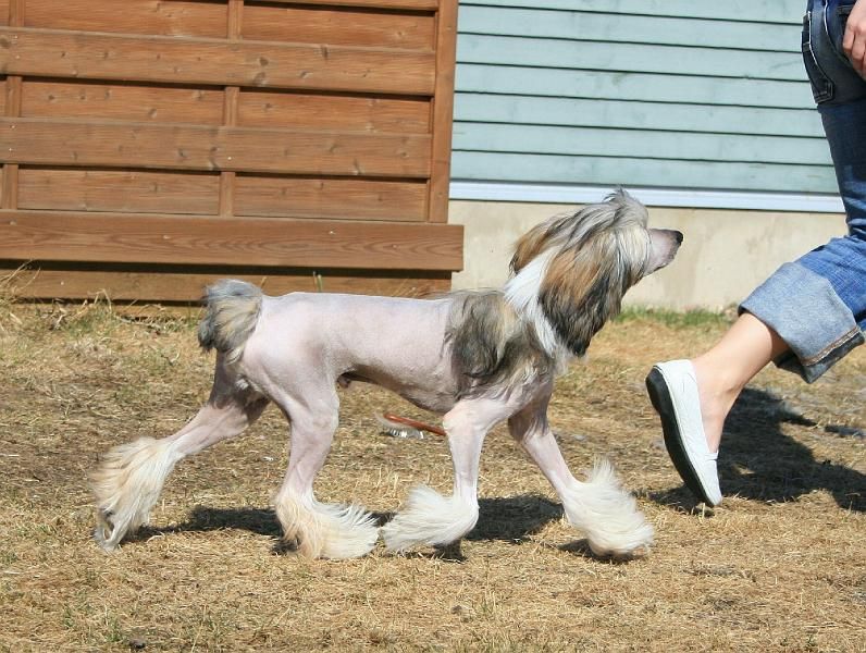 Selfcresteem's FiftySixty Cent