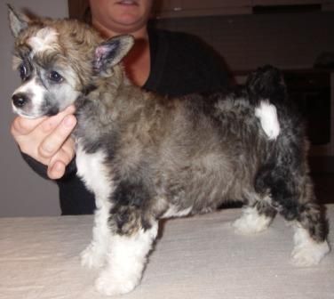 Charity's Miss Marvellous