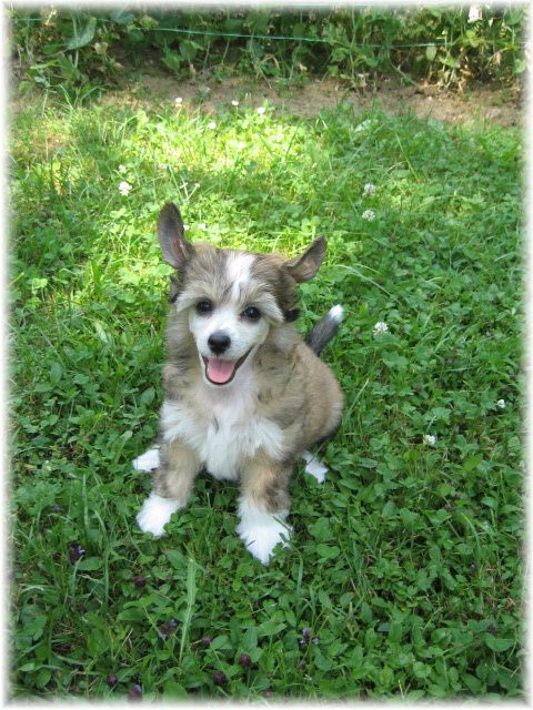 Natali Kalis z Treste