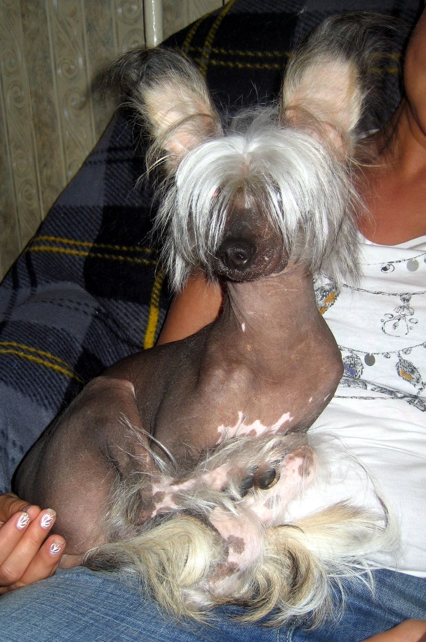 Eminem Nataki Fanrock