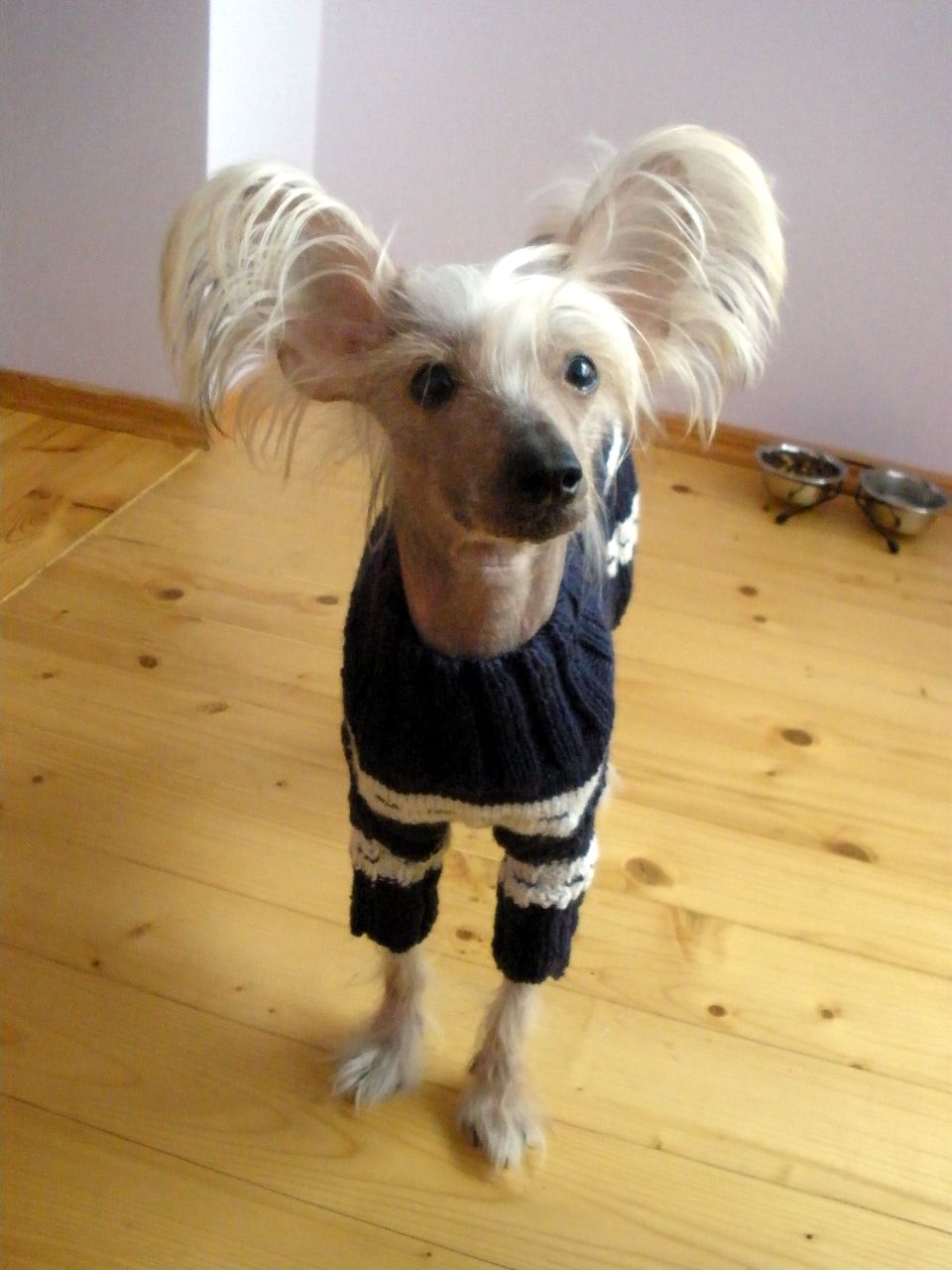 Eldrick Nataki Fanrock 