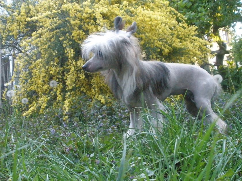 Lost My Marbles  Al Maarii Sapphire