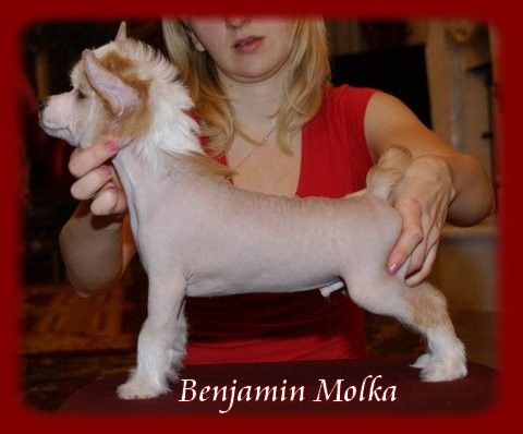 Benjamin Molka