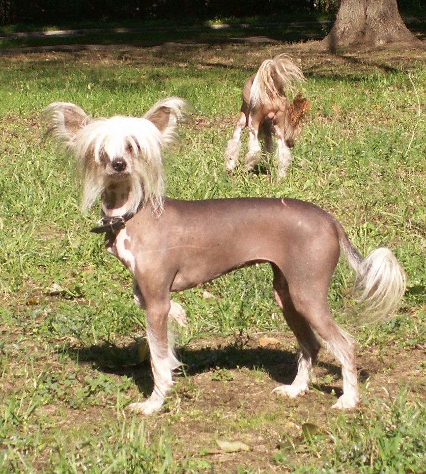 Enita Tsarskaya Doch