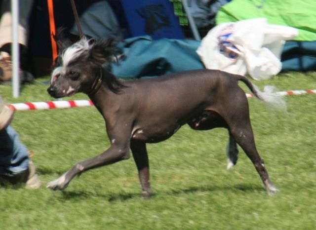 Eugenios Mister Excellent