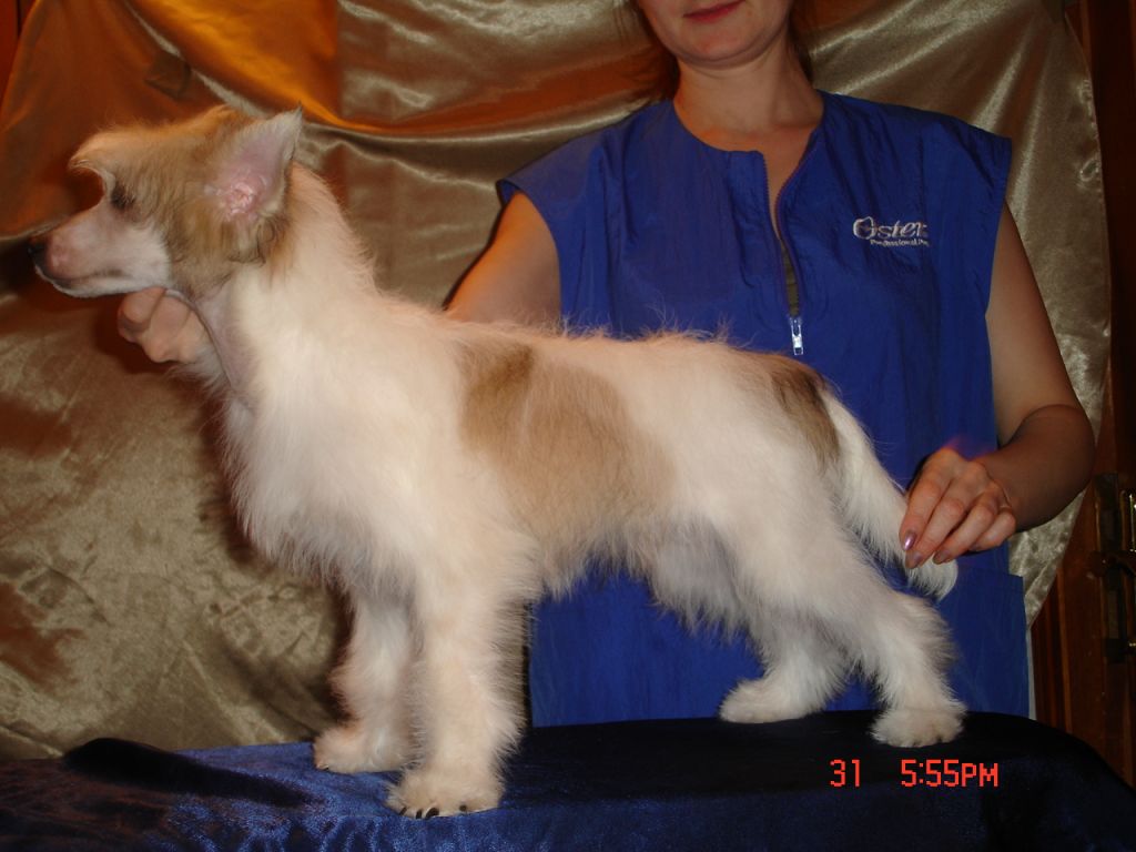 Rouber Balt Jaquelline Mit 