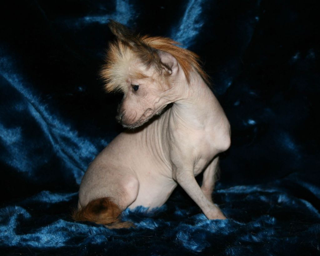 Roksana s Tushinskogo Doma