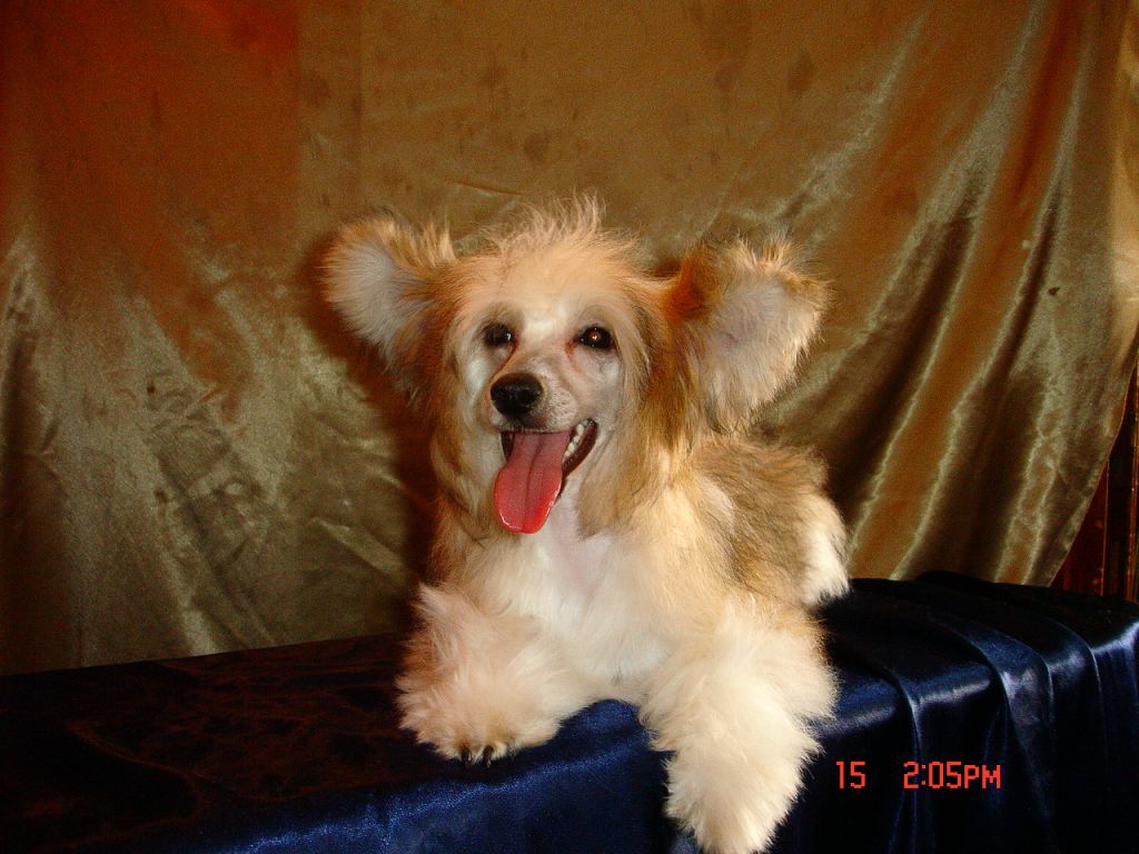 Rouber Balt  Jolly Mit 