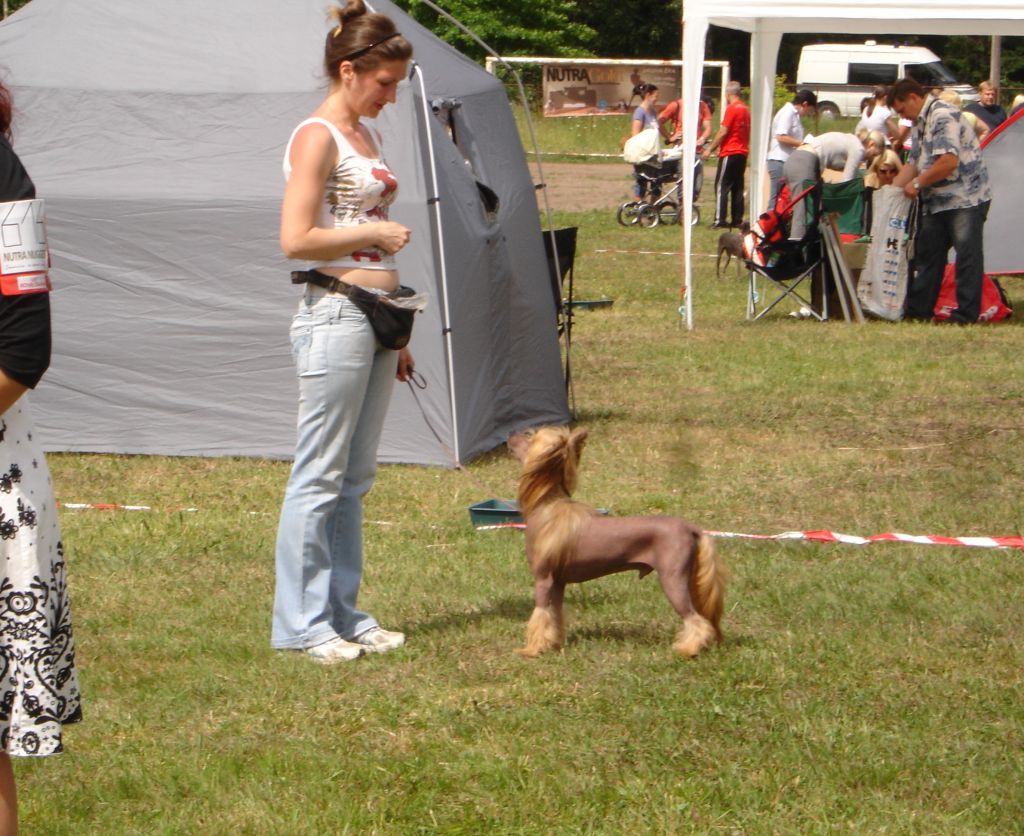 Rouber Balt Jackpot Mit