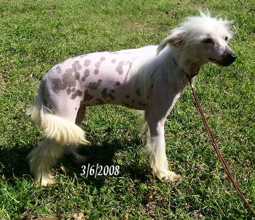 Shambhala's Crystal Prism Kisses