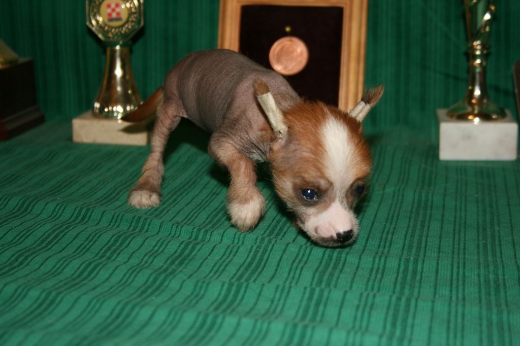 Sabrina s Tushinskogo Doma