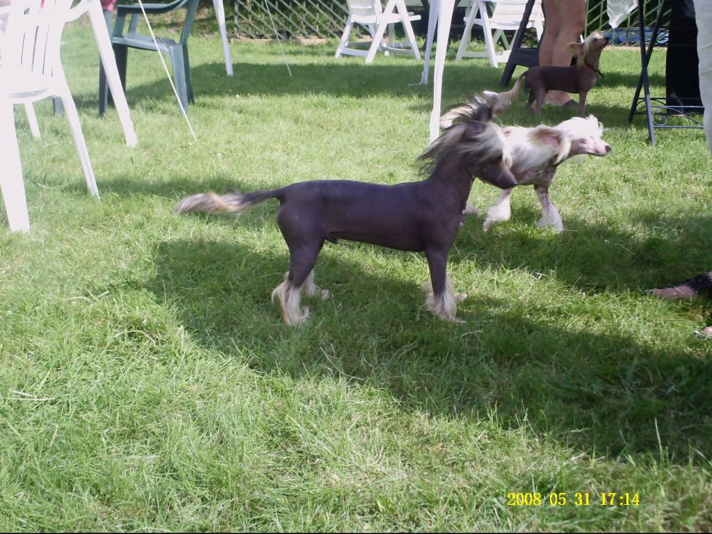 zerachiel these dreams