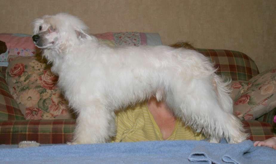 Evercrest's Polar Express