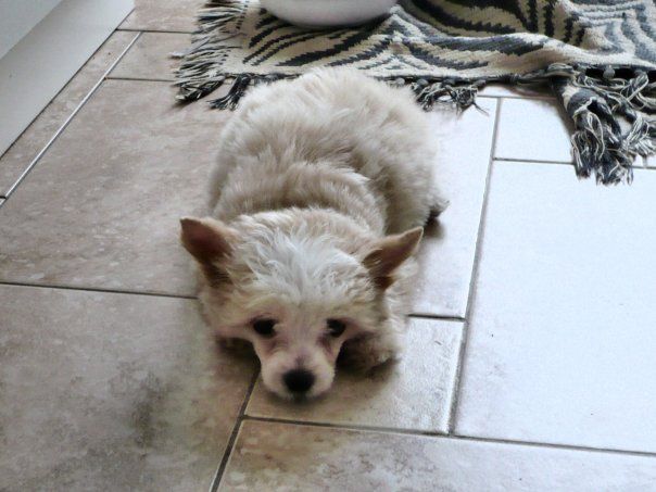 November Rain FalaZairroo