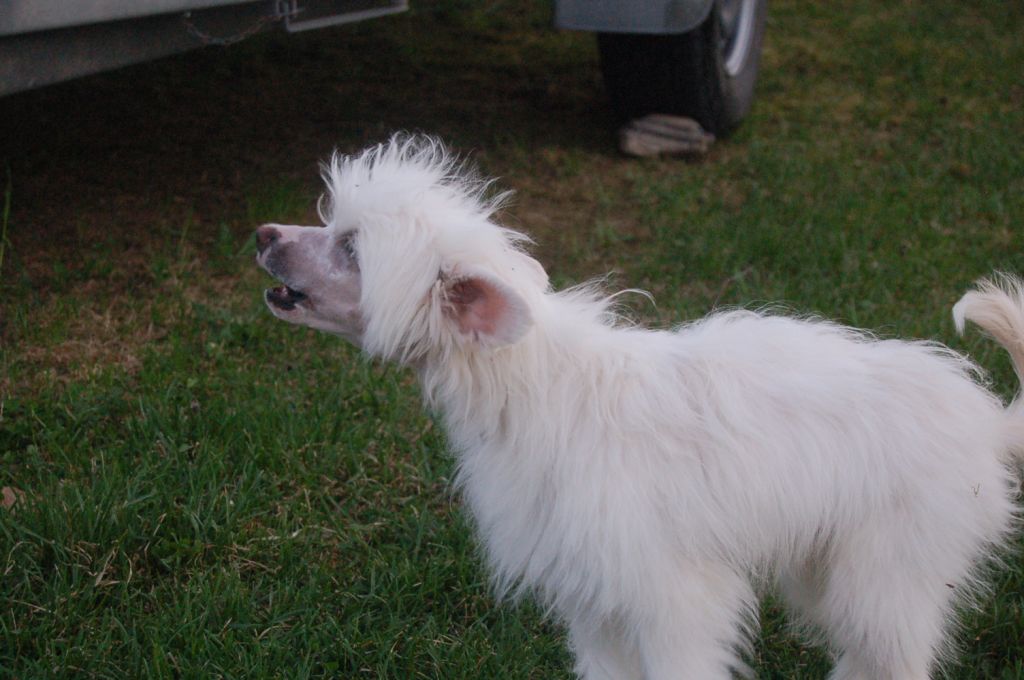 Poulot's A Tribute To Mum