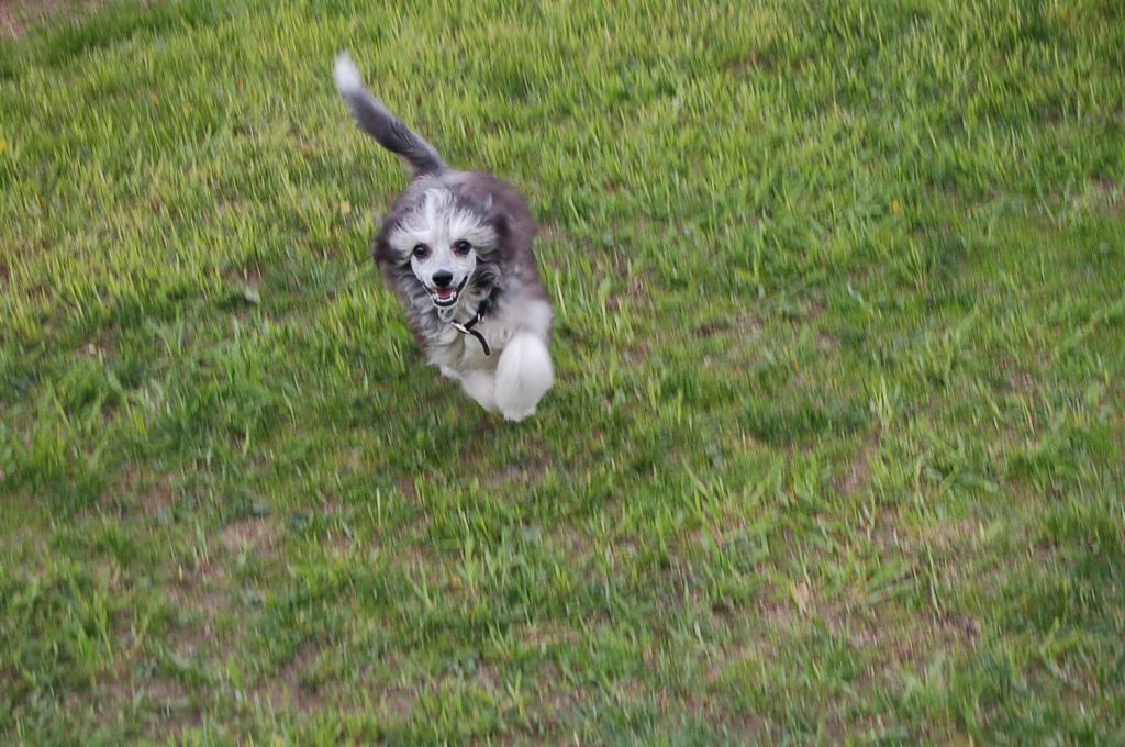 Poulot's Always A Winner