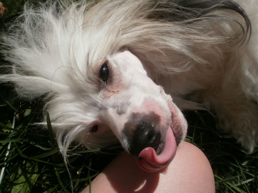 Hundred Acres Stormy Wind