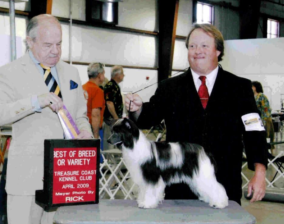 M.T.O. The Winner Takes it All