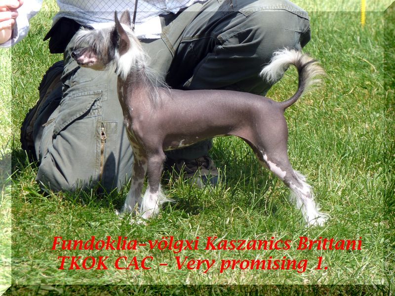 Fundoklia-Völgyi Kaszanics Britanni