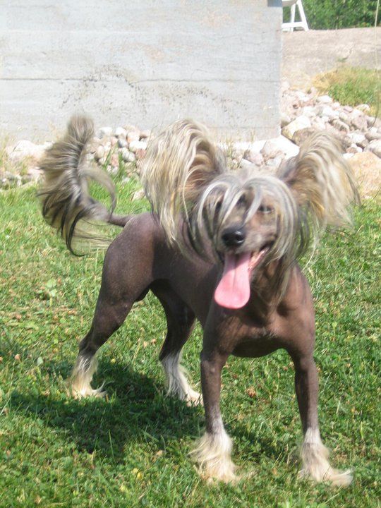 Arte Figure Deucalion