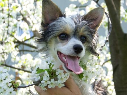 Be My Lover Di Rabozi