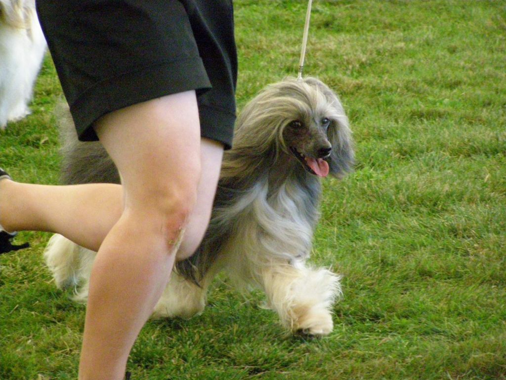 Federico Plysovy pritel