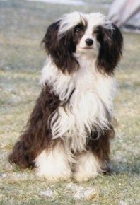 X-Factor de GabriTho