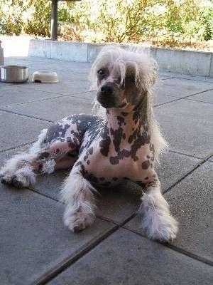 Yesterday Man Fantasy Island