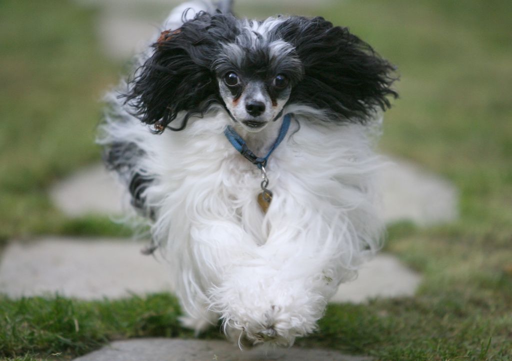 Lady in Black Fantasy Island