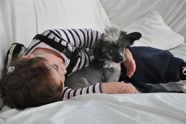 Dark Sigh The Lady de Almamasan