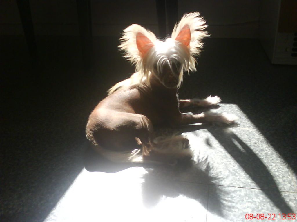 Sea Fire's Una Meili 