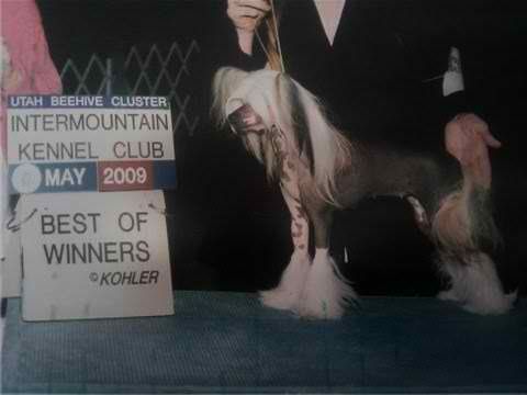 Meesah's 1 Tough Cookie At Dazedooks