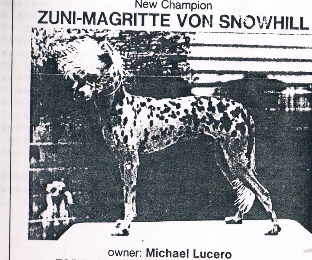 Zuni Magritte von Snowhille