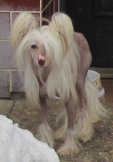 Moonrise in Richmond Al Maarii Sapphire