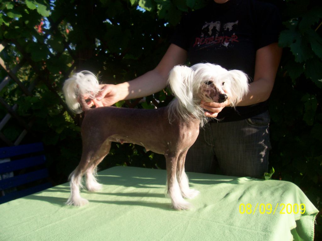 Barselona Star Fju-Chin Mitau