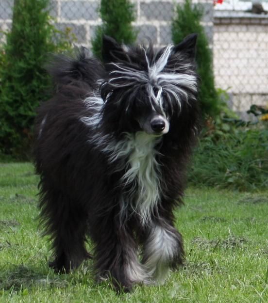 Unity Fantazy Night Mitau