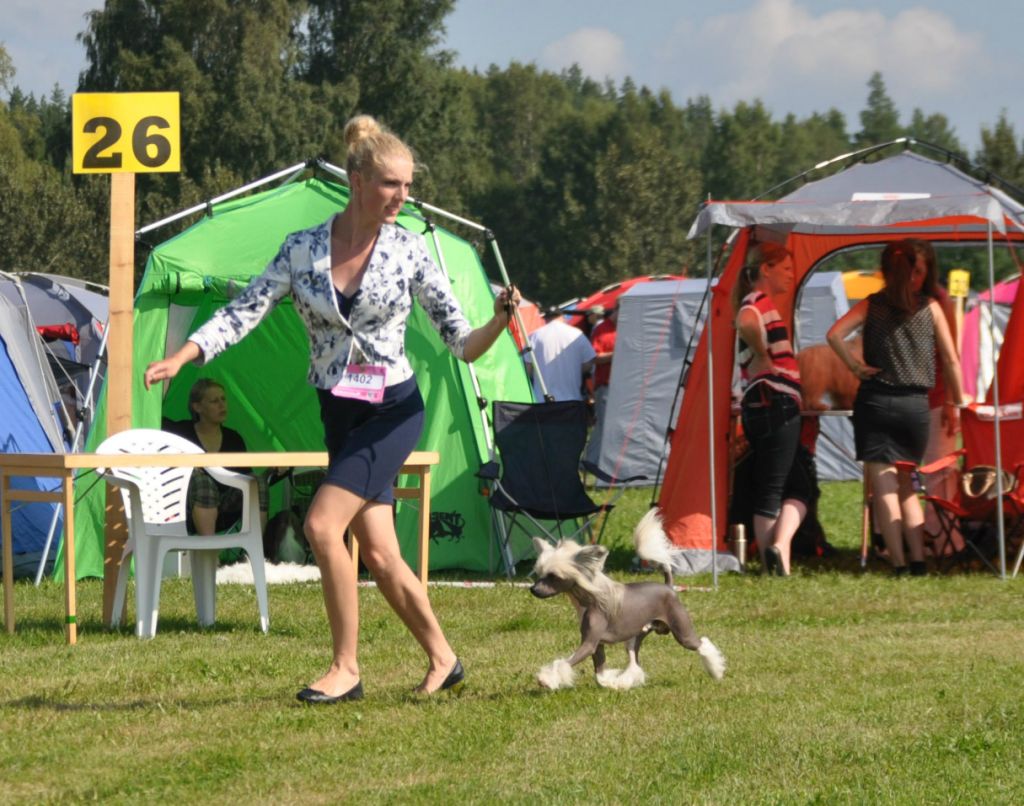 Abbaboos Prince Andreius